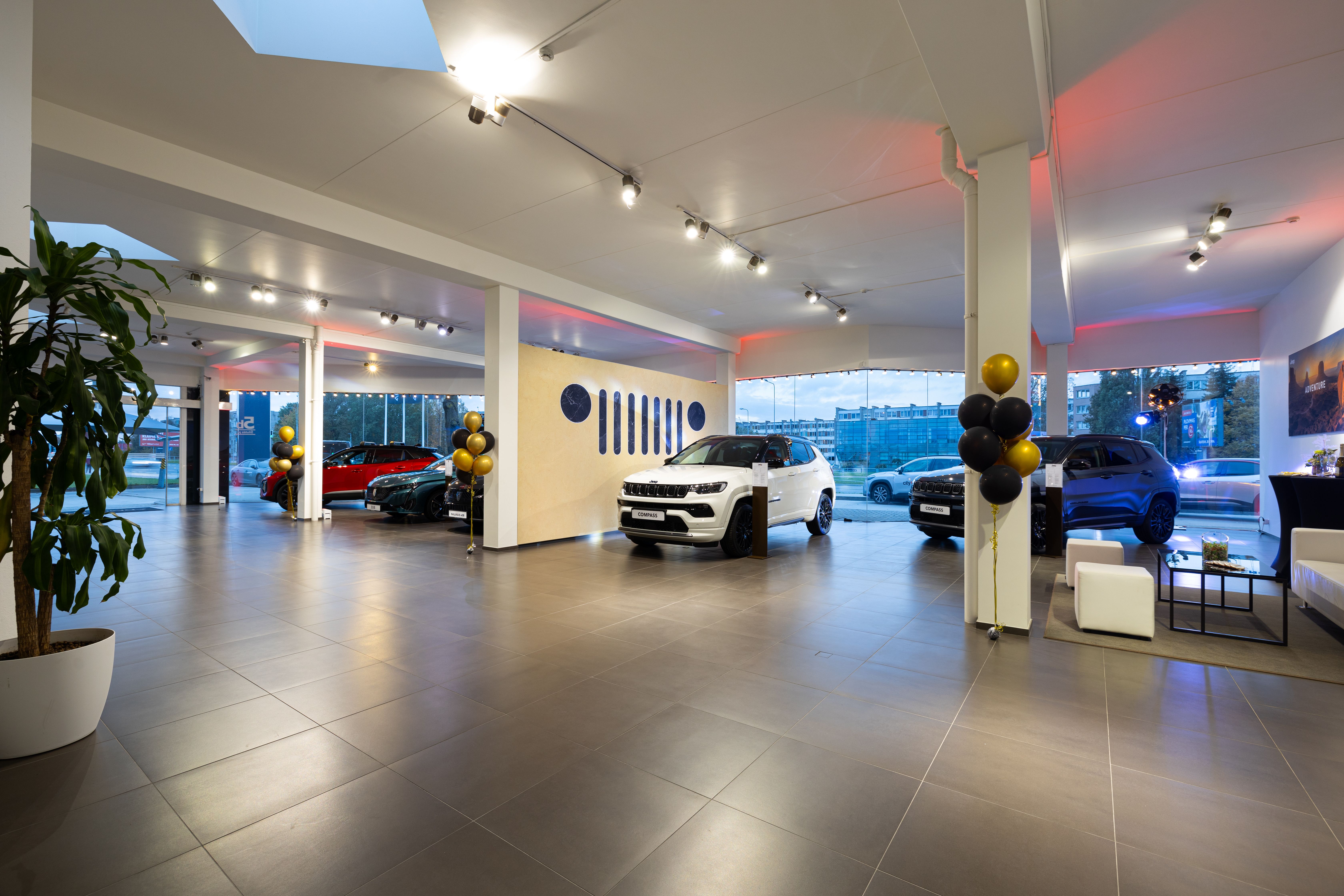 Klaipėdos automobilių salone „Armi Auto“ jus pasitiks du katinai sfinksai – Armis ir Adamas – nuotrauka 1