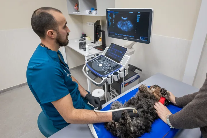 DR.VET Klaipėdos gyvūnų ligoninė – naujas kokybės standartas Vakarų Lietuvoje – nuotrauka 2