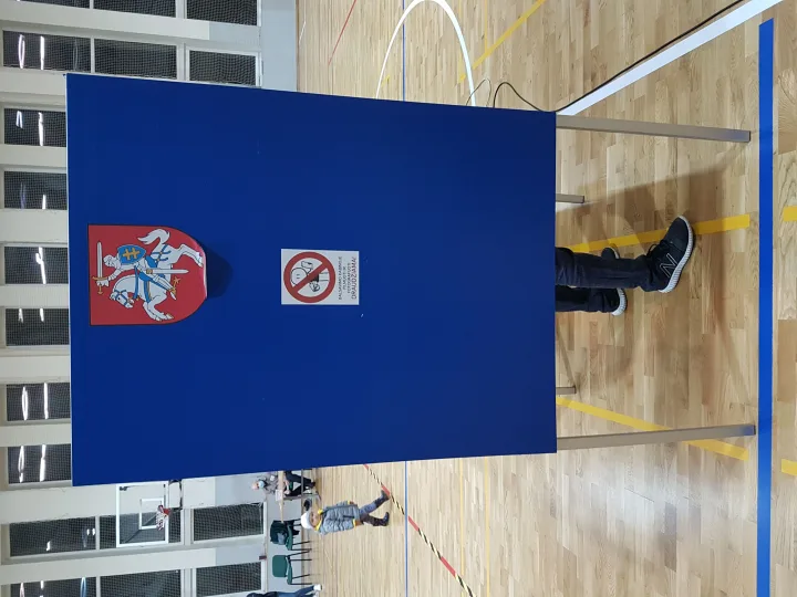 Dėl mandato antrajame rinkimų ture į Seimą Mėguvos rinkimų apygardoje varžysis konservatorius Mindaugas Skritulskas ir "valstietis" Romandas Žiubrys – nuotrauka 17