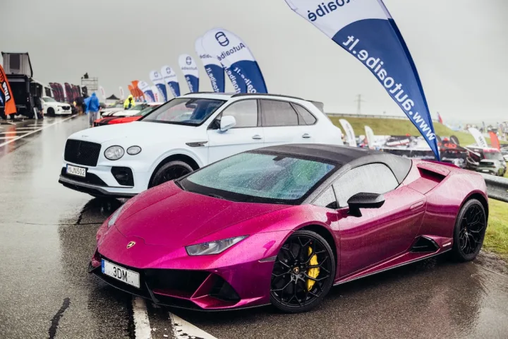 Palangoje apdovanoti įspūdingiausi išskirtinių automobilių „Motor Fest“ dalyviai – nuotrauka 3