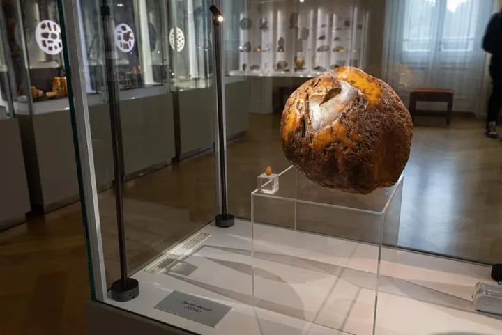 Palangos gintaro muziejus duris lankytojams atvėrė atsinaujinęs (FOTO GALERIJA) – nuotrauka 2