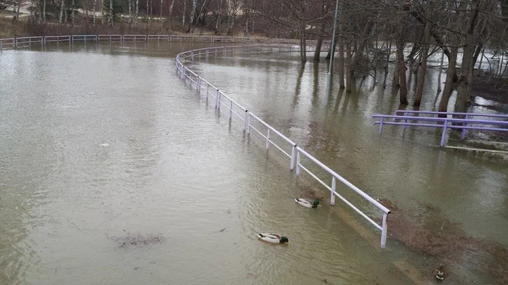 „Feliksas“ pridarė rimtų nuostolių Palangos paplūdimiams – nuotrauka 3