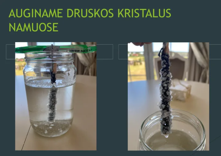 Gimnazistai, besidomintys chemija, augino druskos kristalus