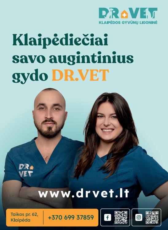 Saulės poveikis augintiniams – negailestingas: odos vėžiu suserga net iš namų neišeinančios katės