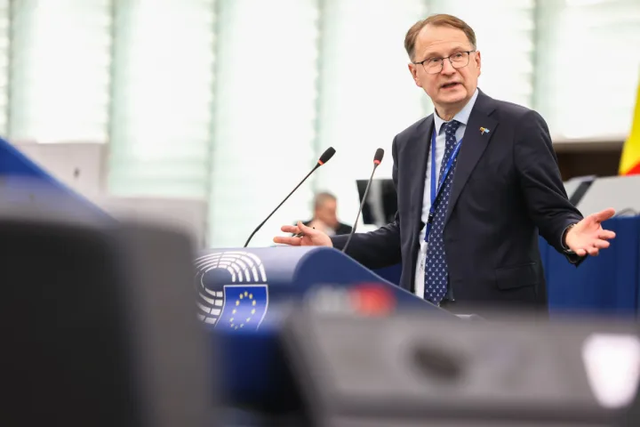 Prof. Dainius Žalimas, Europos Parlamento narys