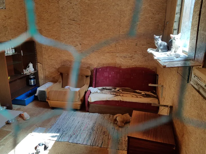 Kačiukus Palangos komunalinis ūkis turės perduoti „Nuarui“ – nuotrauka 1