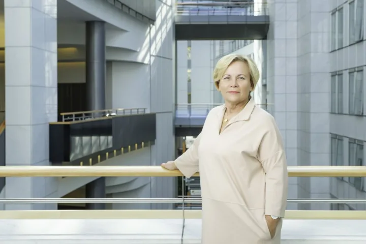 Rasa Juknevičienė, Lietuvos europarlamentarė