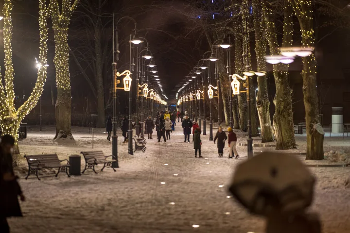 Palangoje pasklido kalėdinė nuotaika – kurortas įžiebė įspūdingą žaliaskarę (FOTO GALERIJA) – nuotrauka 11