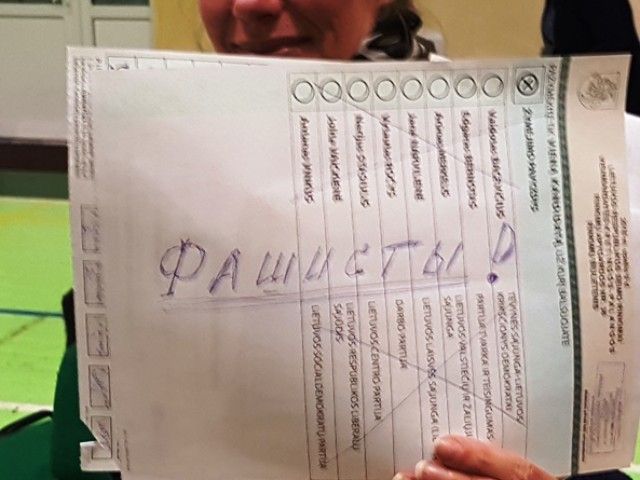 Seimo nario mandato savininkas paaiškės po dviejų savaičių – nuotrauka 3