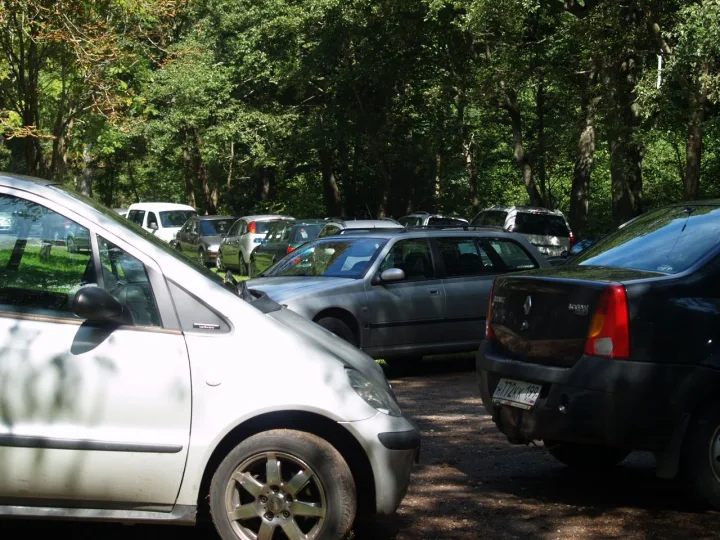 Dėl vietų stygiaus vasarą Palangoje automobilius vairuotojai stengiasi sukišti bet kur, net ir neleistinose vietose.