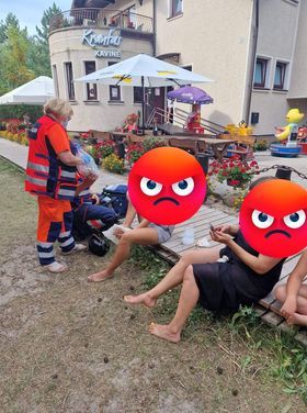 Ir šaukštas deguto medaus statinę pagadina – nuotrauka 1