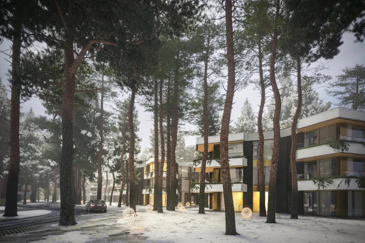 Buvusi Seimo poilsinė Palangoje išsaugos ir išplės pušyną – nuotrauka 2