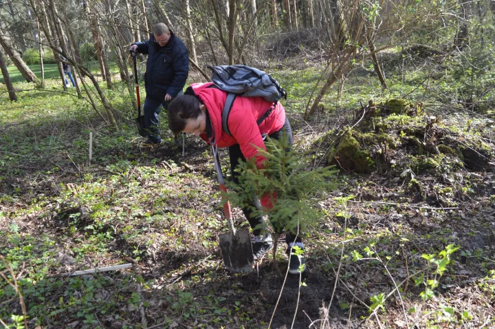 Švaros akcijoje „DAROM 2016“ 931 dalyvis kuopė kurortą – nuotrauka 3