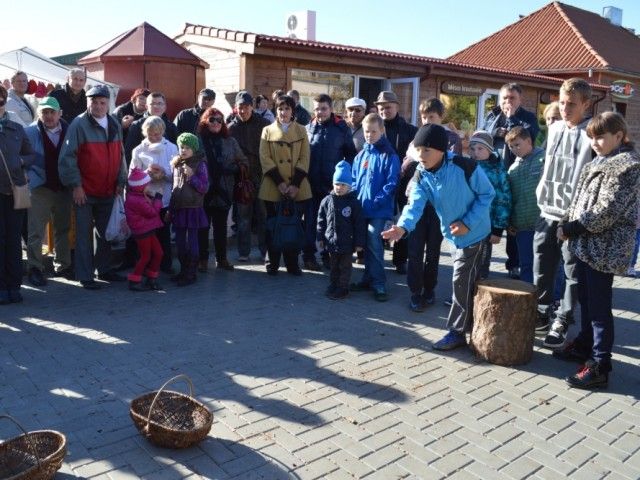 Turgaus šventėje bėgo su bulvių maišu, laikė kalakutą ir graužė obuolius – nuotrauka 2