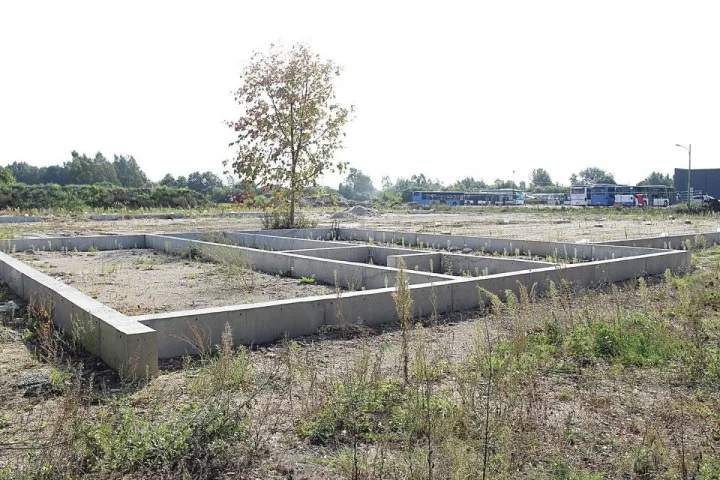 Palangiškis negali suvokti, kokį nusikaltimą padarė – viskas dėl žemės