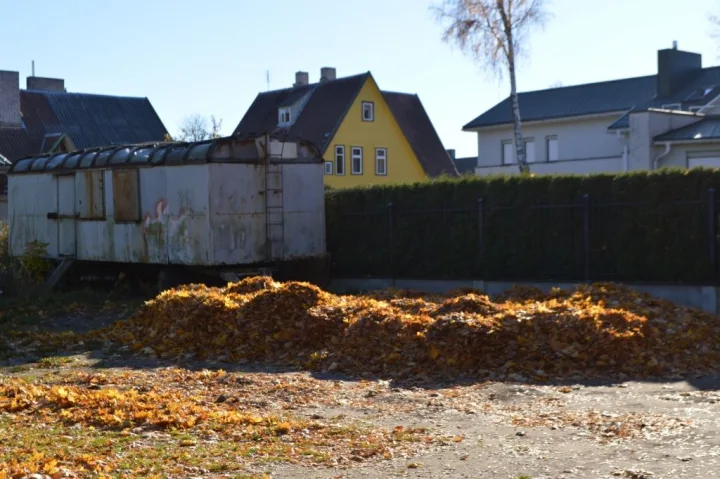 Neregėta Palanga: apleisti, neprižiūrėti statiniai tapo asocialių asmenų prieglaudomis – nuotrauka 5