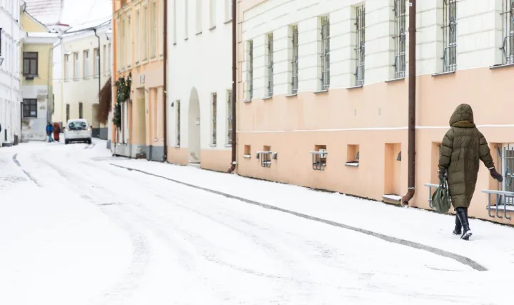 Į Vilnių sugrįžo sniegas. FOTO: DAINIUS LABUTIS | ELTA
