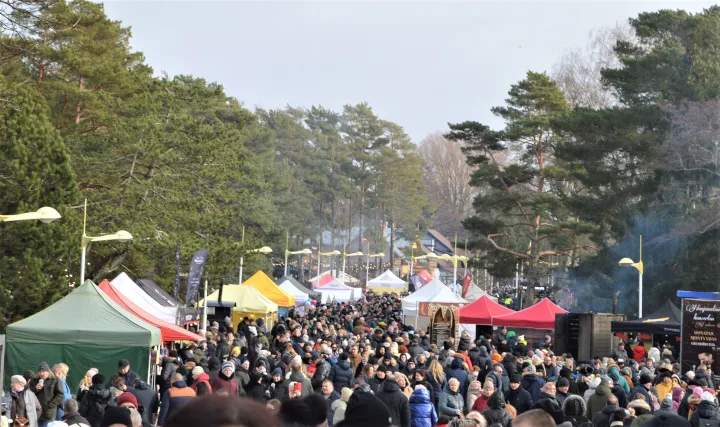 Jubiliejinė, dvidešimtoji, „Palangos stinta“ stebins skoniais, pramogomis ir rekordais – nuotrauka 1