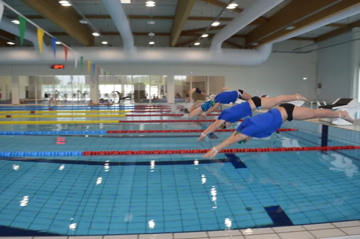 Palangos baseine – kurorto moksleivių susitikimas su Lietuvos olimpiečiais D. Rapšiu, A. Šidlausku bei D. Margevičiumi – nuotrauka 4