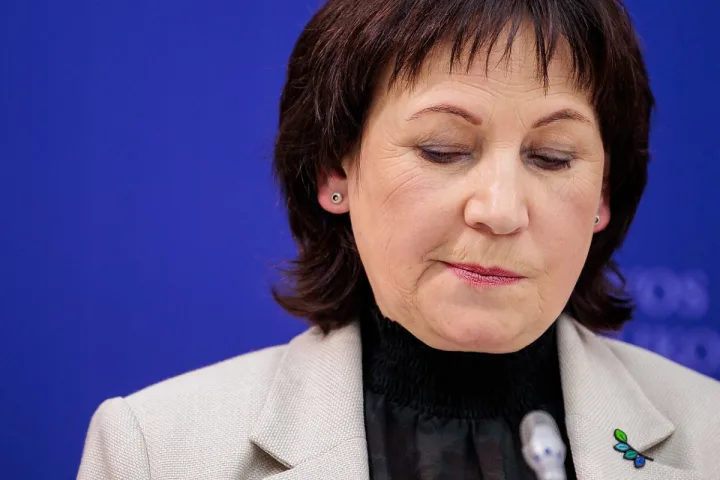 Jūratė Zailskienė | D. Umbraso / LRT nuotr.