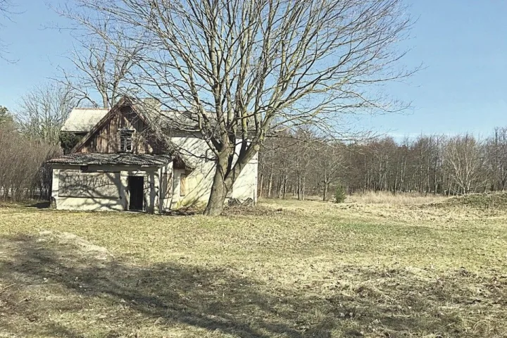 Aferistai tabu neturi: Palangoje sumanė pusvelčiui įsigyti svetimos žemės naujoms statyboms