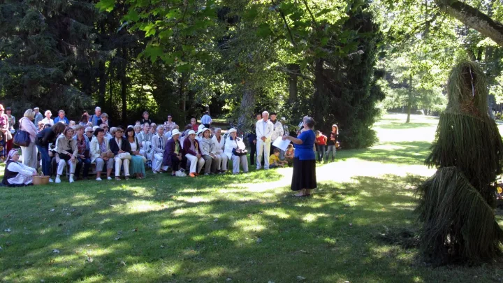 G. Kadžytės vedama viktorina po Didžiąja liepa.
