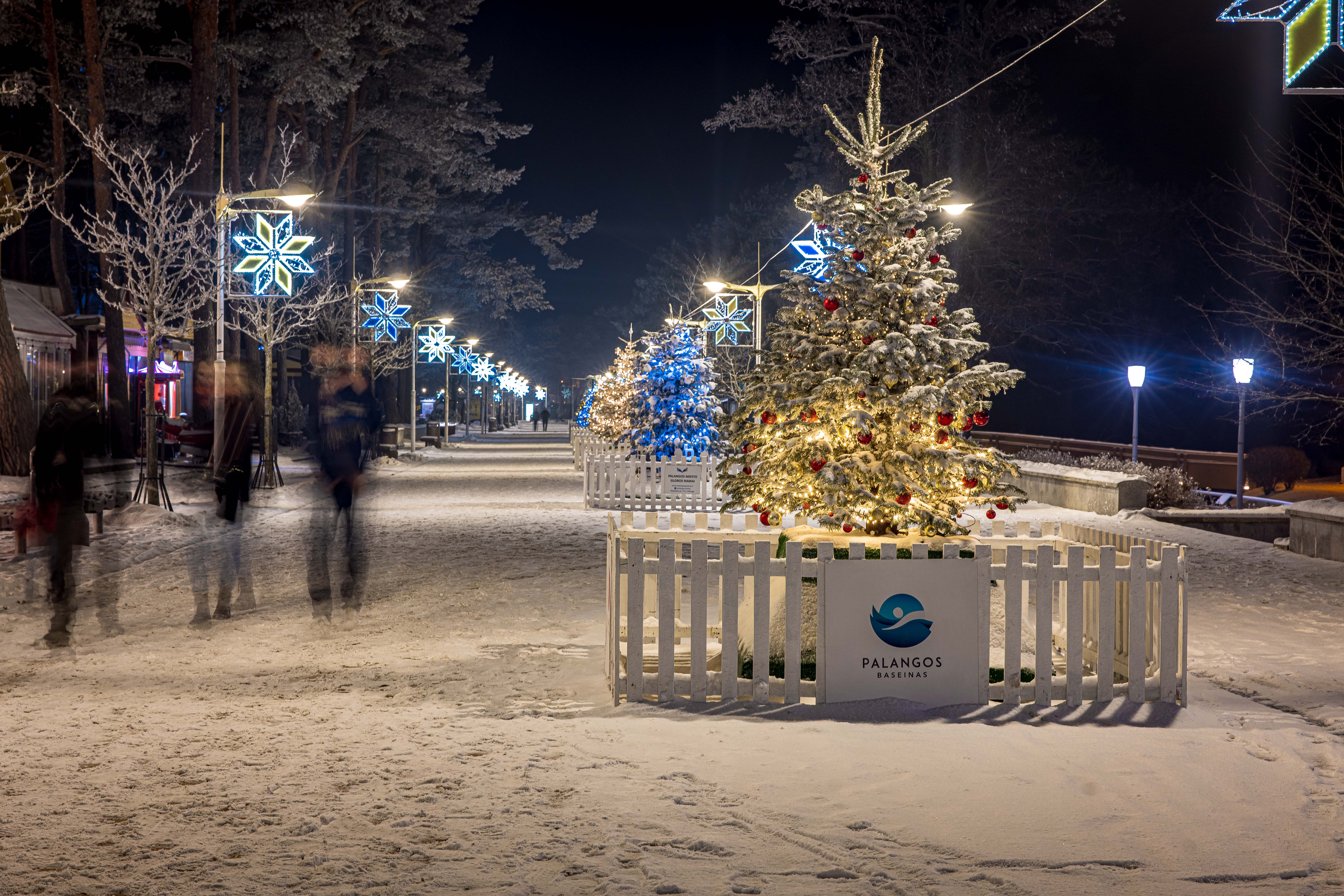 Palanga įžiebė dar niekur neregėtą eglių eglę – vienu metu suspindo keli šimtai žaliaskarių (FOTO GALERIJA) – nuotrauka 9