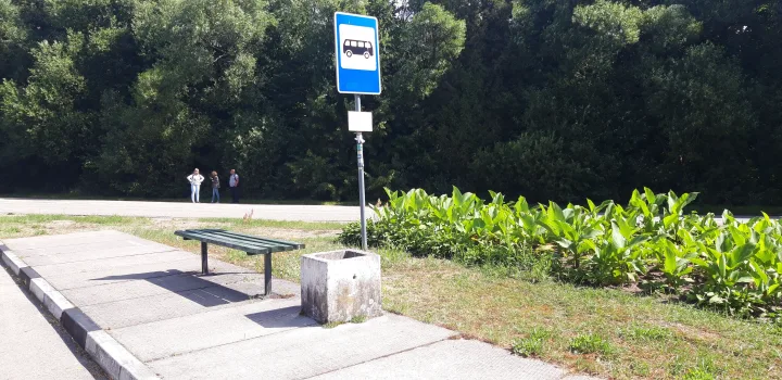 Nemirsetos autobusų stotelės autobusų vairuotojai nepastebi – nuotrauka 1