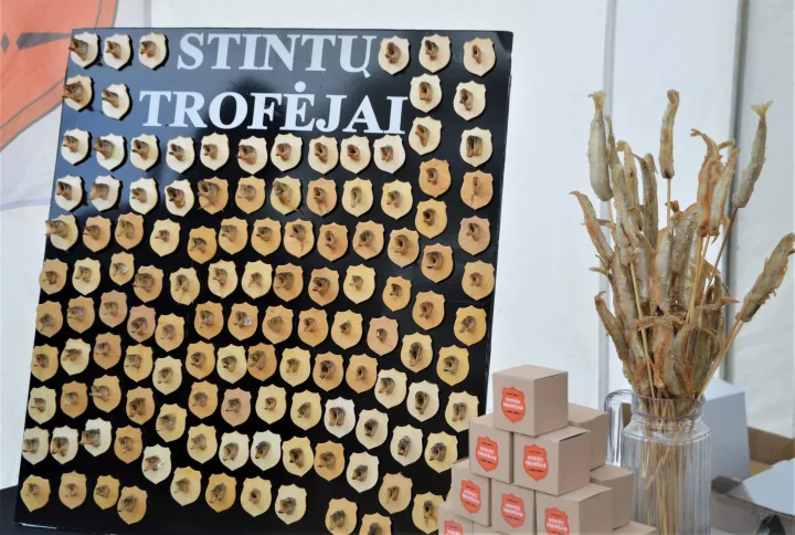 Palanga šurmuliuoja – prasidėjo Stintų šventė (NUOTRAUKŲ GALERIJA) – nuotrauka 3