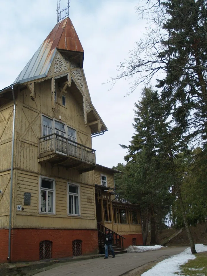 Prie vertingųjų vilos savybių priskiriamas jos tūris, pastato konstrukcijos, stogų formos, vilos fasadų architektūrinis sprendimas – moderno stilistika, fasadų architektūrinės tūrinės detalės.