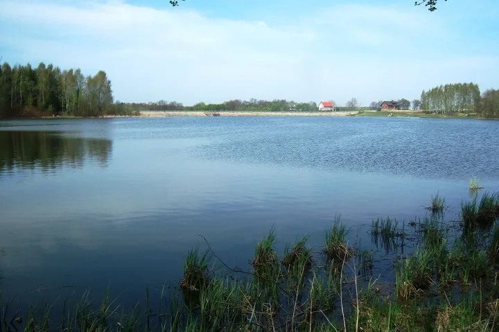 Neatsargumo kaina – gyvybė