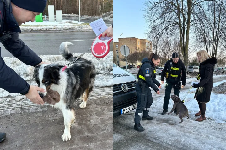 Palangos miesto savivaldybės nuotr.