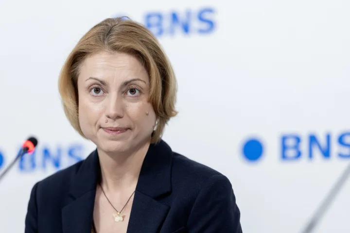Lietuvos antstolių rūmų prezidiumo narė Asta Stanišauskaitė. Nuotr. Lukas Balandis, BNS