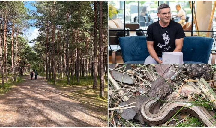 Moteris Palangoje pamatė keistą gyvį, gamtos fotografas Marius Čepulis paaiškino, kas tai. FOTO: JUSTINA ASAKAVIČIŪTĖ | DELFI