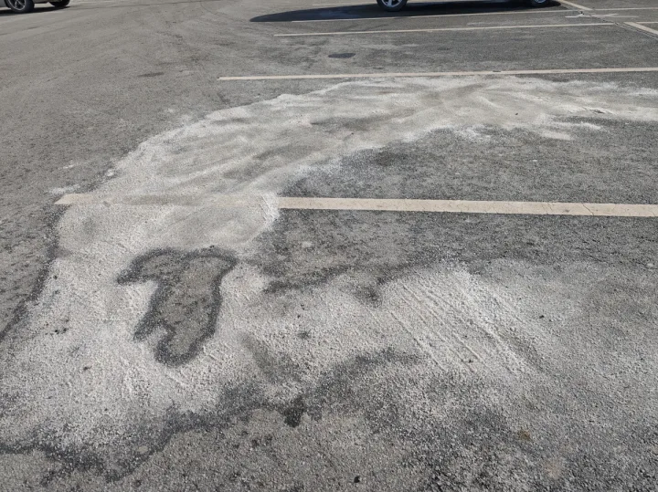 Atsakomybė prasideda nuo kiekvieno mūsų.  Su žmona vėl paimsime lazdą, pirštines ir maišelį ir eisime Sveikatos taku – rinkti, ką paliko kiti