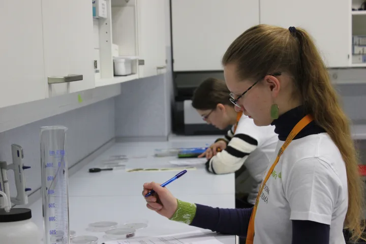 Biologų ir matematikų pasiekimai respublikinėse olimpiadose – nuotrauka 1