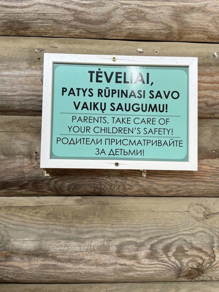 Vakarienė žinomame restorane prie Palangos baigėsi ligoninėje – užkabinta buivolo, pustrečių mergaitė pakilo į orą – nuotrauka 1