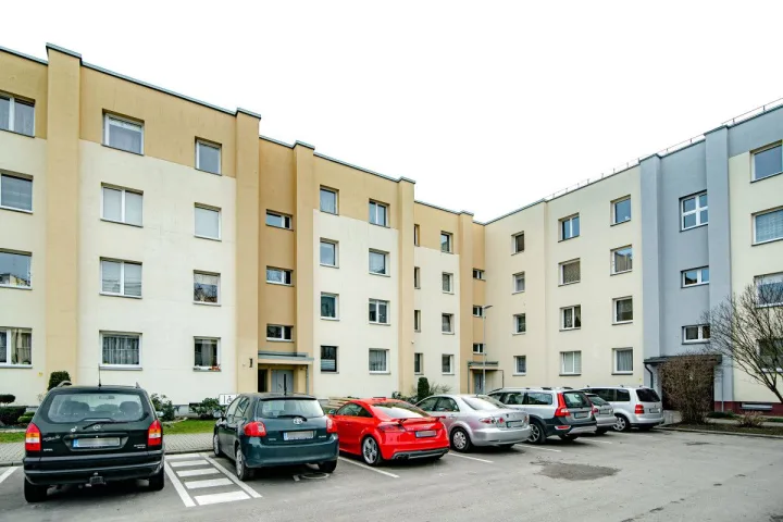 Nepriekaištingai sutvarkyta namo aplinka