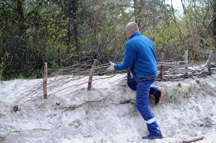 Palanga rengiasi vasarai – intensyviai tvarkomi paplūdimai – nuotrauka 2
