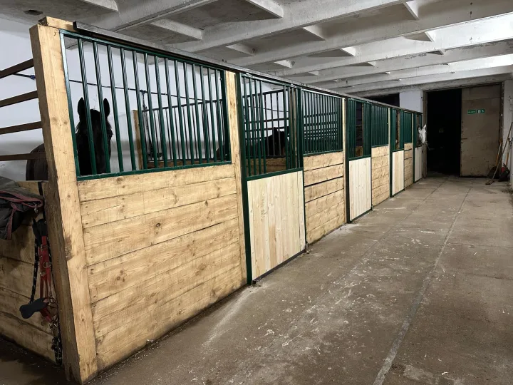 Palangos žirgyno savininkas Mantas Šeškas: „Žirgas simbolizuoja judėjimą, darbą, ryžtą, pagalbą“ (FOTO GALERIJA) – nuotrauka 5