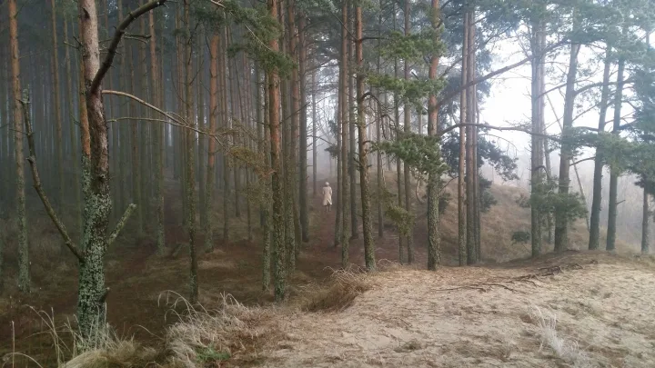 Ši J. Staselio nuotrauka, kurioje pavaizduota jo žmona, jam pelnė "Auksinį kadrą"
