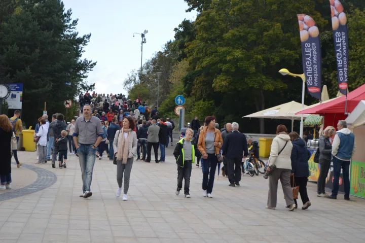 Palanga savaitgalį dūzgė: įvairūs renginiai kvietė prisiminti vasarą – nuotrauka 5