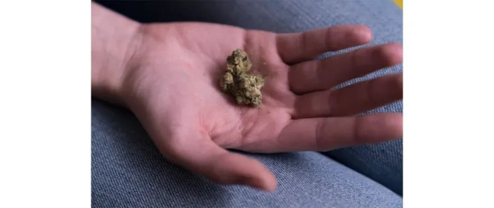 Klaipėdoje ir Palangoje pas kelis žmones buvo rasta galimai narkotinių medžiagų