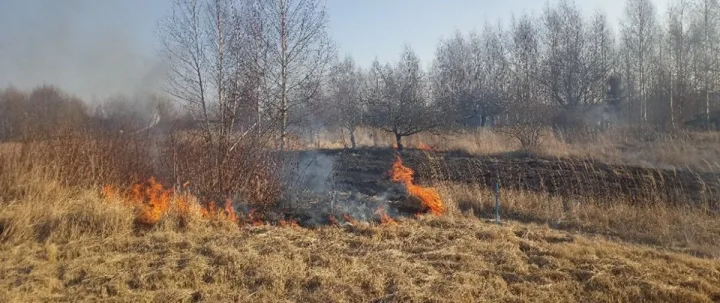 Baudos už žolės deginimą – ne vienintelė priežastis būti atsargiems