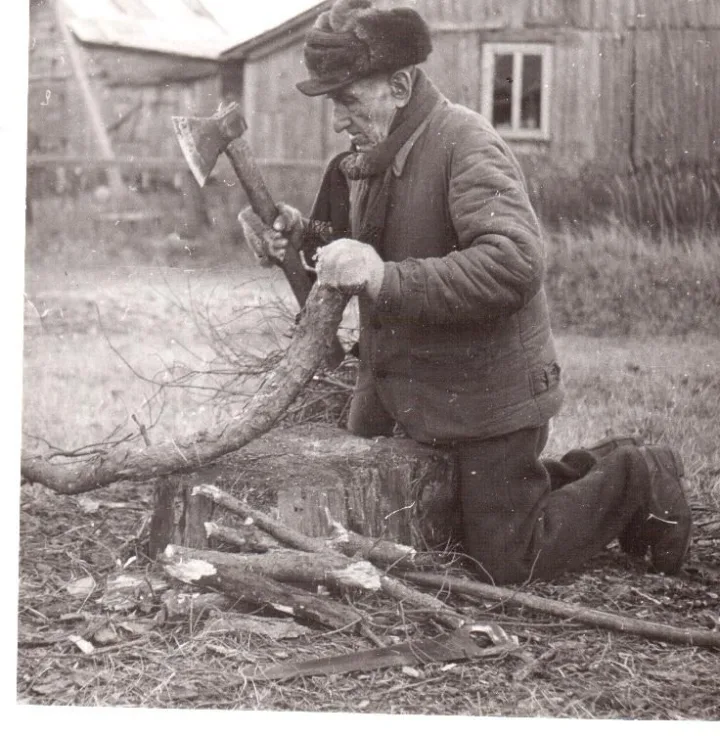 D. Antanavičius. Medkirtys.