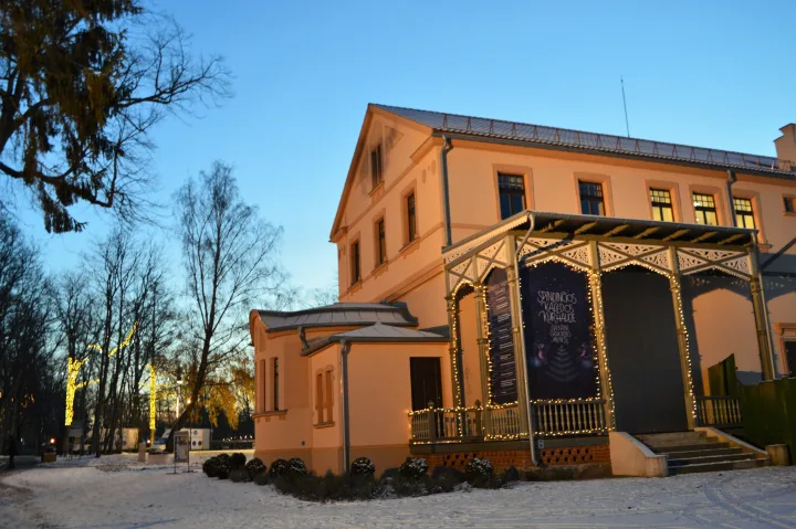 Palanga įžiebė eglę ir suspindo tūkstančiais kalėdinių šviesų – nuotrauka 3