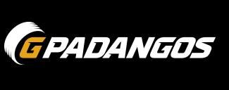 https://www.gpadangos.lt/padangos/ziemines-padangos